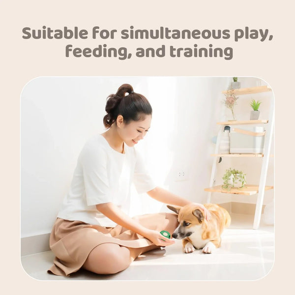 Dog Chew Toys for freeze and Treat Tray Long-Lasting Fillable Treat Toy and Silicone Molds for Summer Cooling Ease Dog Anxiety
