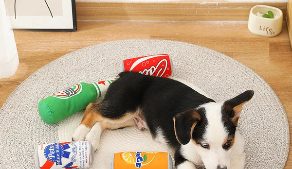 ZoeToy Beer Bottle Squeaky Chew