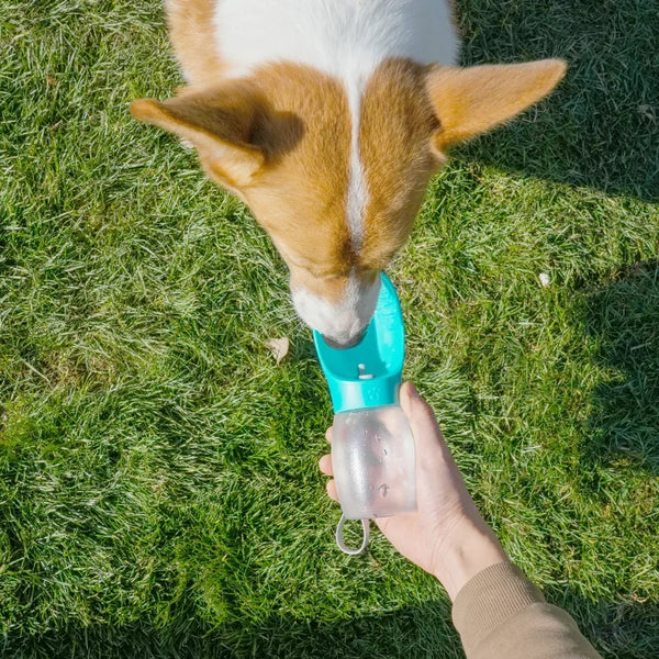 Portable Pet Dog Water Bottle Hiking Outdoor Leakproof Puppy Drinking Bowls for Small Medium Large Dogs Cats Chihuahua Supplies