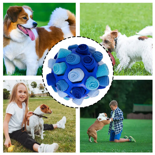 Interactive Dog Sniffing Ball – Shaking & Chew Toy for Training, Teeth Cleaning & Boredom Relief