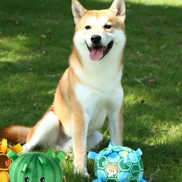 Interactive Plush Ball Dog Toy For Aggressive Chewers Training Decompress Bite Resistant Handle Dog Toys With Bells Pet Supplies