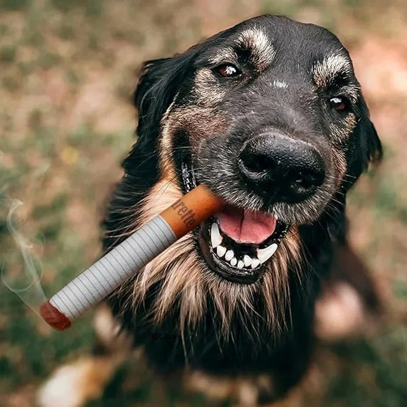 Dog Toys Fun Interactive Plush Dog Toys Creatives Products Cigarette Butt Design Dogs Chew Toys Perfect Pet Gifts for Playing