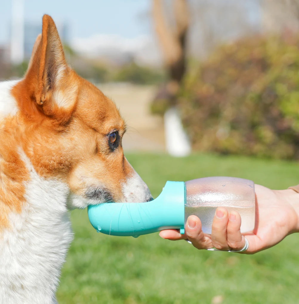 Portable Dog Water Bottle Small Large Dogs Cats Leakproof Drinking Bowl Outdoor Walking Cat Pet Water Dispenser Bulldog Supplies