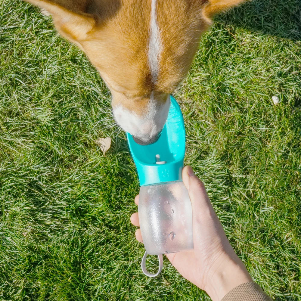 Portable Dog Water Bottle Small Large Dogs Cats Leakproof Drinking Bowl Outdoor Walking Cat Pet Water Dispenser Bulldog Supplies