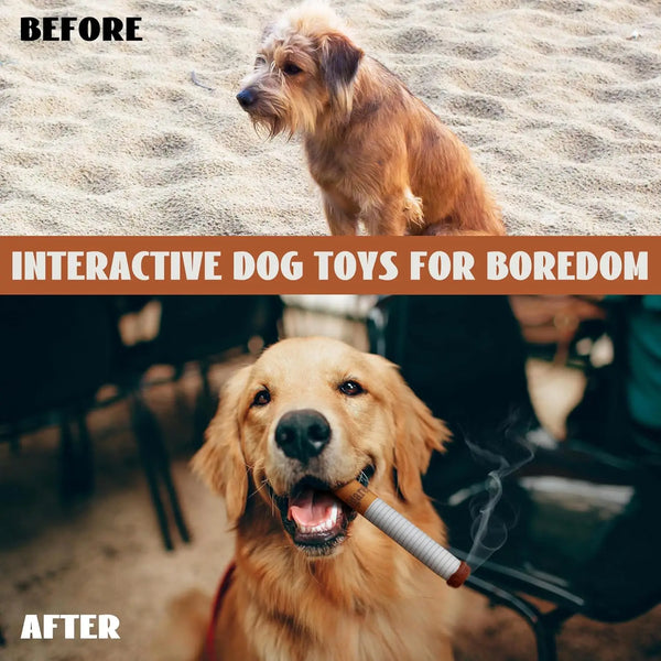 Fun Interactive Dog Toy Cigarette Teething Resistant Toy Pet Dog Plush Chew Toy with Squeak Dog Cigarette Box Toy Pet Gift